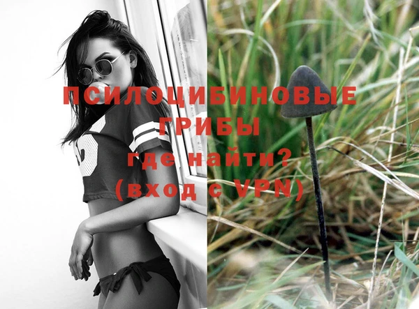 крисы Алексеевка