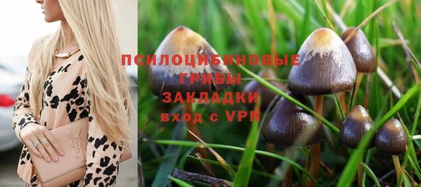 крисы Алексеевка
