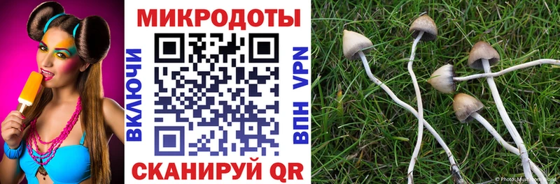 где купить наркоту  Себеж  shop какой сайт  Псилоцибиновые грибы Psilocybe 